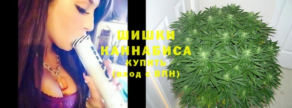 мяу мяу мука Рославль